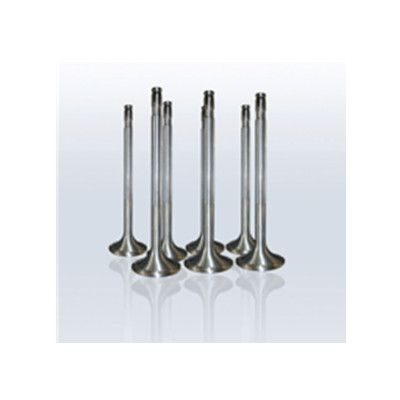 Exhaust valve/seat