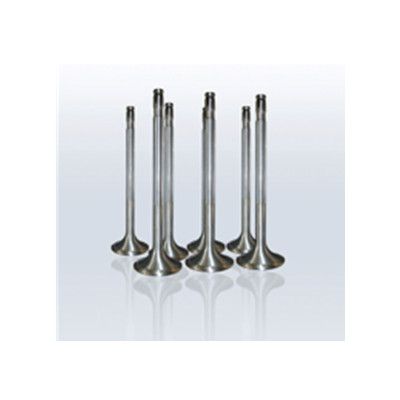 Exhaust valve